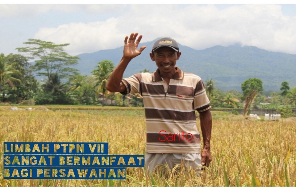 Berkah Limbah PTPN VII Untuk Petani Bagelen